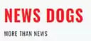 News Dogs