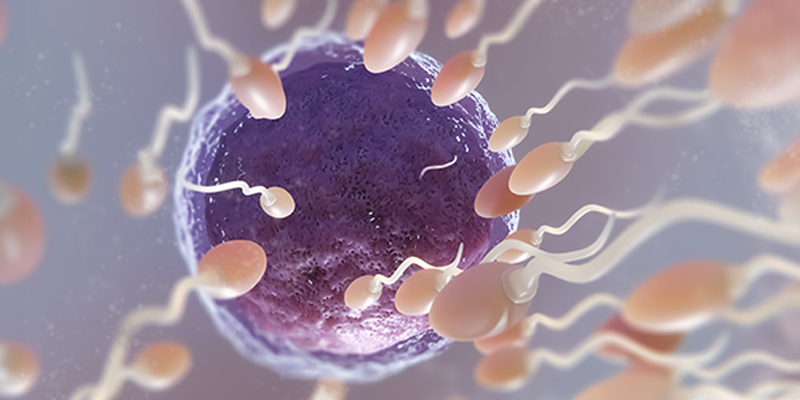 beautiful-fertility-concept-3d-rendering