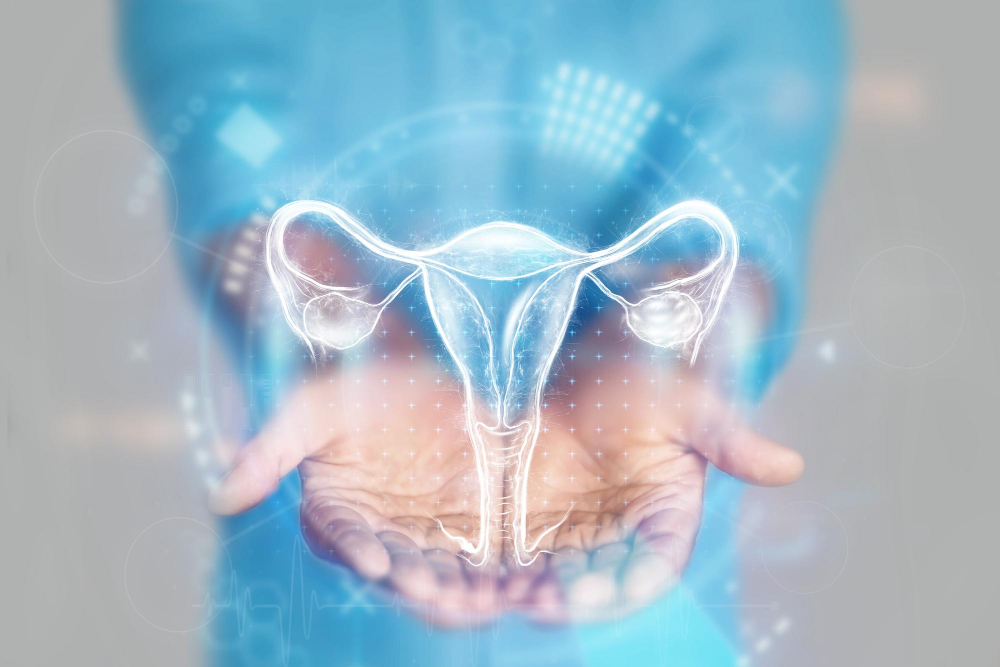 medical-concept-doctor-s-hands-blue-coat-closeup-ultrasound-uterus-xray-hologram-medical-care-woman-anatomy-doctor-s-appointment-reproductive-system-mixed-media